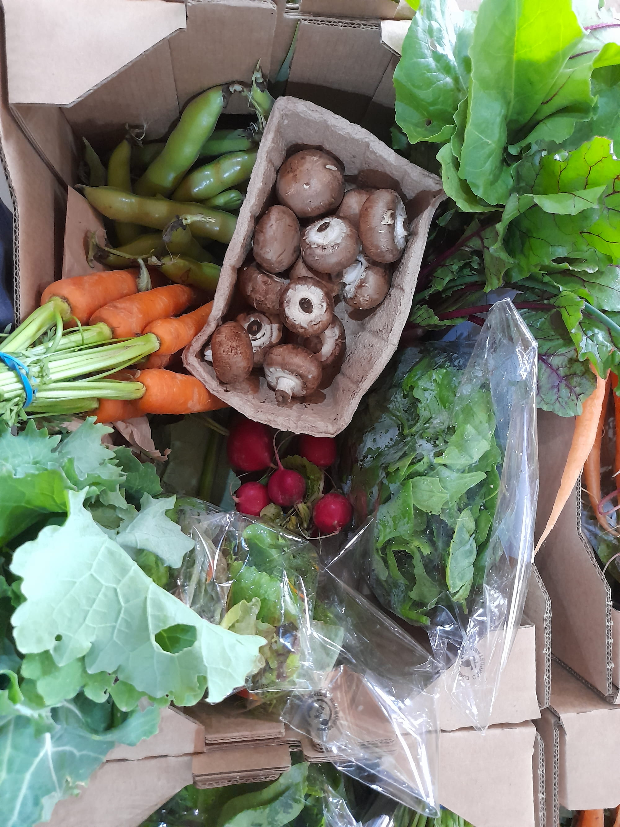 Weekly vegetable box with mixed produce